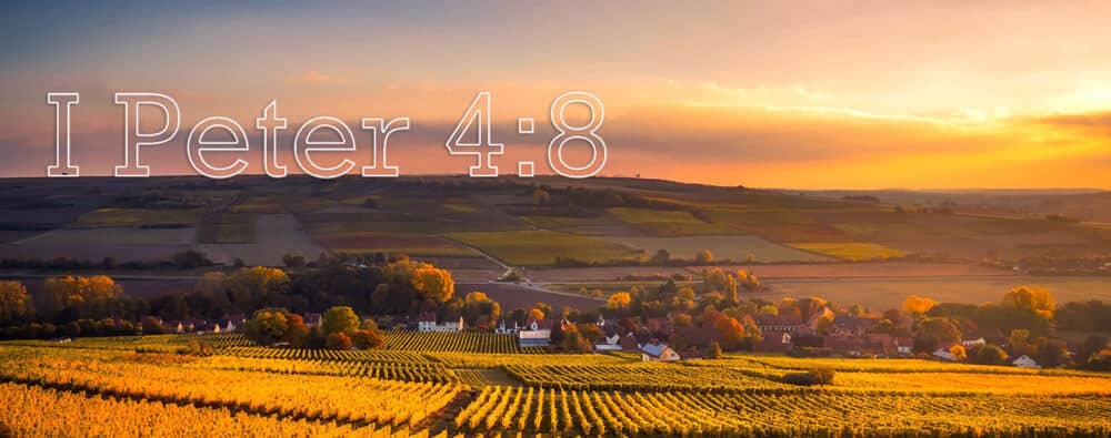 Peter-Scripture-harvest-banner